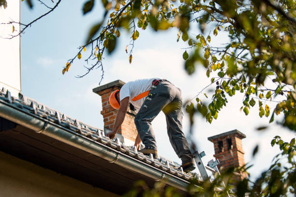 Best Flat Roof Repair Services  in Port Barrington, IL