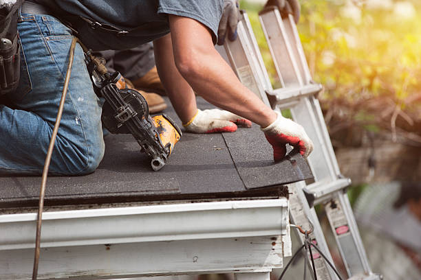 Professional Roofing Contractor in Port Barrington, IL