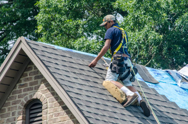 Best New Roof Installation  in Port Barrington, IL